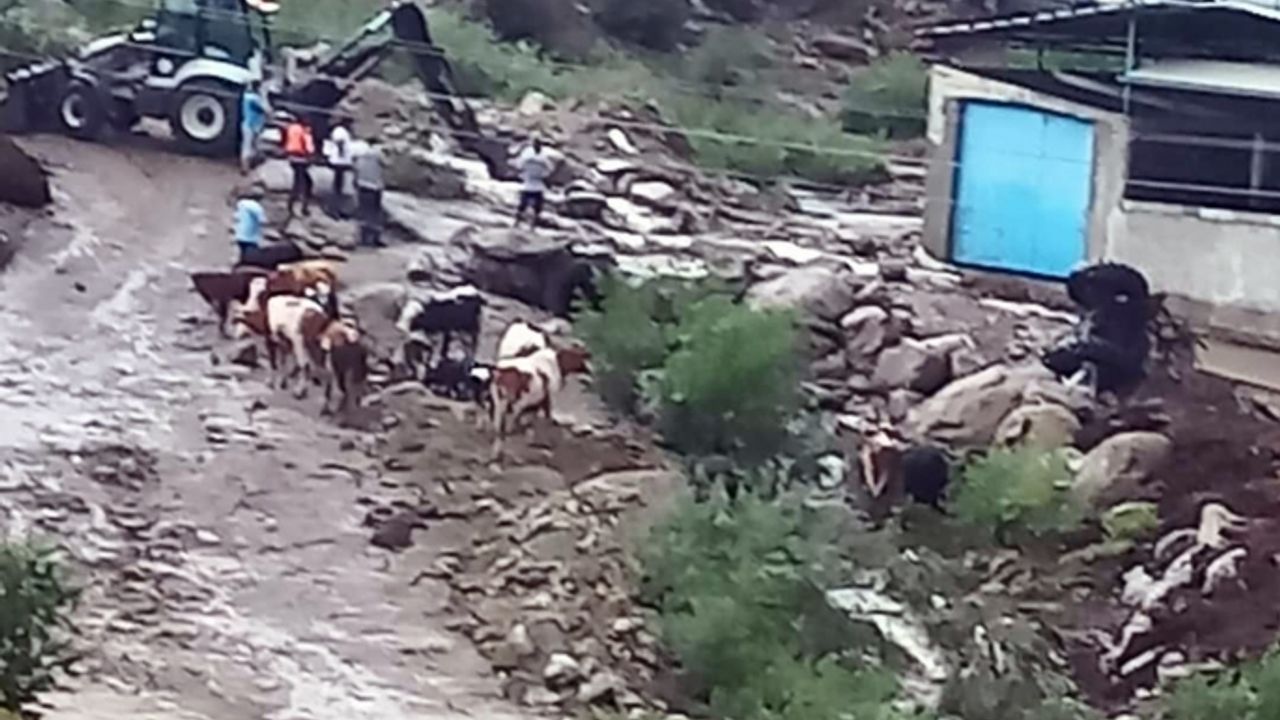 Çine'de sel: 4 büyükbaş hayvan kayboldu, traktör sel sularına kapıldı