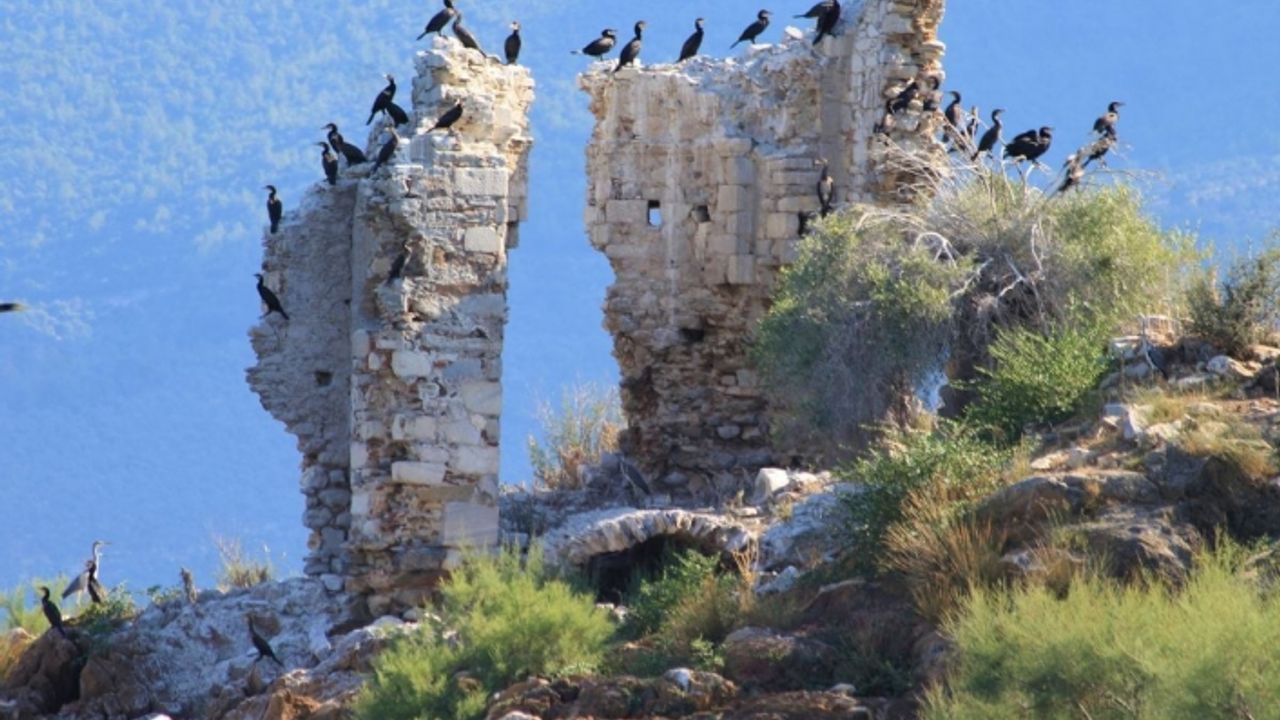 Uygarlıklar Kavşağı Aydın, tarihe ev sahipliği yapmaya devam ediyor