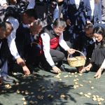 Bakan Yumaklı Aydın'da incir hasadına katıldı