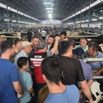 Aydın'da hayvan pazarlarında sıkı denetim