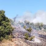 Çine'de zirai alanda yangın