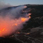 Çine'deki orman yangınında yaralanan şahıs hayatını kaybetti