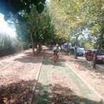 Köşk'te park ve yeşil alanlarda bakım çalışmaları sürüyor