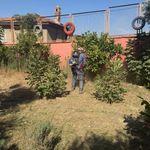 Germencik'te okullar yeni eğitim yılına hazırlanıyor