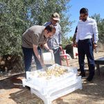 Kaymakam Battal, incir hasadında üreticilerle bir araya geldi