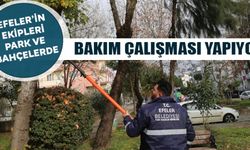 Efeler´in ekipleri park ve bahçelerde bakım çalışması yapıyor