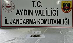 Jandarma uyuşturucuya geçit vermiyor