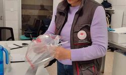 Söke’de 1 ayda 5 bin ton zirai ürün ihraç edildi