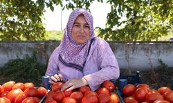 Aydın’da salça ve kışlık telaşı başladı