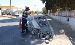 Nazilli’deki mezarlıklarda bakım ve temizlik çalışmalarını sürdürüyor