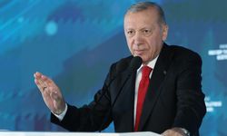 Cumhurbaşkanı Erdoğan: ''Irkçı nefret ülkemize zarar veriyor''