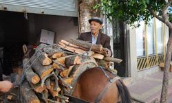 Aydın’da geleneksel kış hazırlıkları başladı