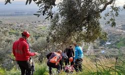 Ağaçtan düşerek ayağı kırılan vatandaşı ekipler kurtardı