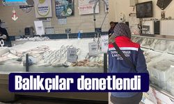 Didim’de balıkçılar denetlendi