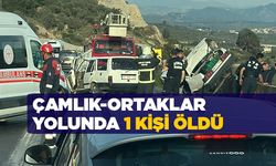 Çamlık-Ortaklar yolunda 1 kişi öldü