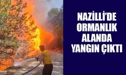 Nazilli'de ormanlık alanda yangın çıktı