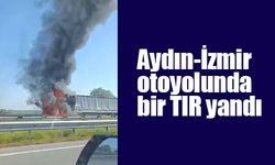 Aydın-İzmir otoyolunda tır yangını