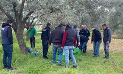 Zeytin bahçesinde cansız bedeni bulundu