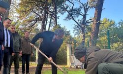 Kaymakam Keklik’ten sakız ağacı fidanlarına bahar bakımı