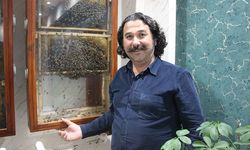 Fabrikasında 5 bin işçi ile 'bal' gibi çalışıyor