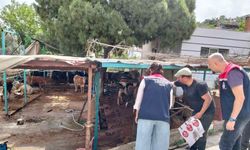 Aydın’da kurban satış ve kesim yerleri denetlendi