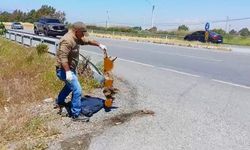 Başkan Sürücü: "Çok nadir ve önemli bir türü daha kaybettik"