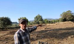 Efeler Belediyesi ecdat mezarlarını iş makinesi ile yıktı