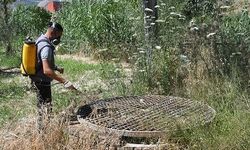 Kuşadası Belediyesi halk sağlığı için vektörel mücadelesini sürdürüyor