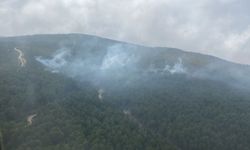 Karıncalı Dağı’ndaki Orman Yangını söndürüldü