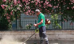 Yedieylül Mahallesi şehir hayatına geri döndü