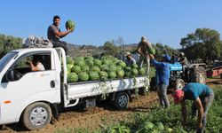 Aydın karpuzu için pazarcılar gün doğmadan sıraya giriyor