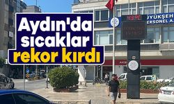 Aydın'da sıcaklar rekor kırdı