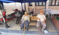 Aydın’da termometreler 39’u gösterdi, vatandaşlar gölgeye sığındı