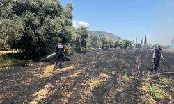 Başkan Kaya’dan yangın uyarısı: "Açık alanlarda ateş yakmayın"
