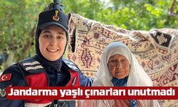 Jandarma yaşlı çınarları unutmadı