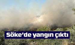 Söke’de zirai alanda yangın çıktı