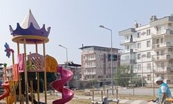 Söke’de ’kene’ mücadelesi başatıldı
