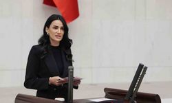 AK Parti Aydın Milletvekili Sarıbaş: "Gazetecilerimiz halkımızın sesi olmuştur"