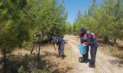 Ormanlık alanlara sıkı denetim