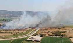 Rüzgarla büyüyen yangın, hayvan çiftliğini tehdit etti