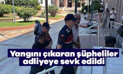 Zeytinlik Kül Oldu, Sorumlular Adliyede!