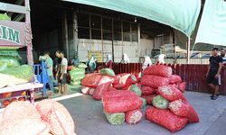 Acarlar'da eli ayağı tutan herkes çalışıyor