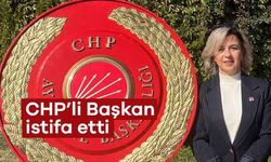 CHP'li Özyeğin Görevinden İstifa Etti