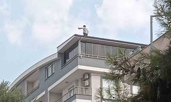 Didim’de çatıya çıkan şahsı polis ikna etti