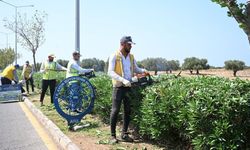 Didim’de çevre ve peyzaj düzenlemesi gerçekleştirildi