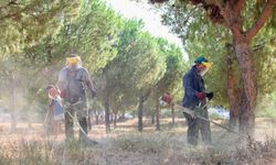 Didim’de yangınlara karşı örnek dayanışma