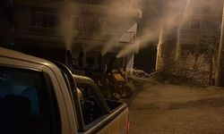 Germencik’te sivrisinekle mücadele aralıksız sürüyor