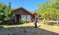Günübirlik evler ve kiralık araç firmaları denetlendi