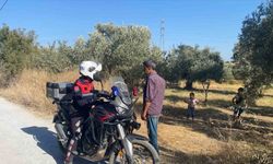 Jandarmadan ‘incir hırsızı’ devriyesi
