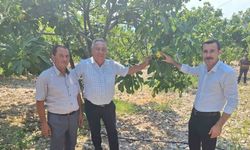 Kaymakam Polat, incir üreticileriyle bir araya geldi